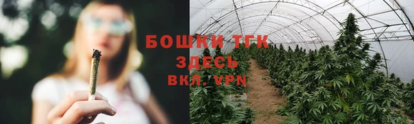 тгк Алексин