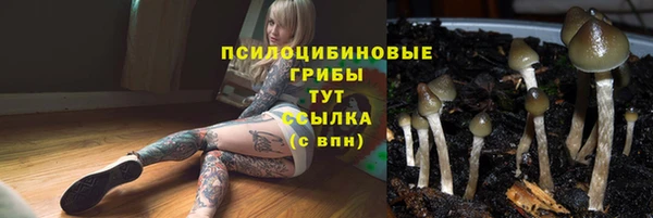 jwh Алзамай