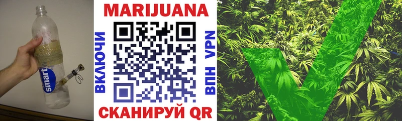 Бошки марихуана SATIVA & INDICA  дарнет шоп  Ветлуга 